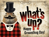Groundhog Day groundhog day ecards