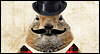 Groundhog Day (Postcard)
