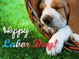 Relax on Labor Day labor day ecards