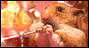 Hamster Love Video Ecard (Personalized Lyrics)