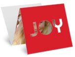 Joy - Red