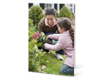 3.5" x 5" Notecard Set (vertical)