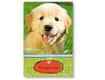 Flex Magnet - 4x6 Love-My-Pet