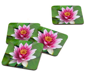 Coasters