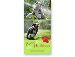 Classic - Holiday Paws