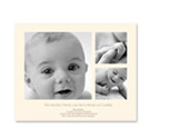 16x20 Poster - Gentle Ivory