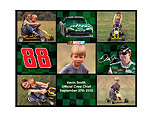 16x20 Poster - Dale Earnhardt Jr. NASCAR®