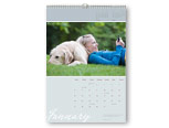 11x16 Vertical Calendar - Quill