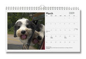 Custom Cat & Dog Photo Calendars 12x7