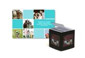 Pets Custom Photo Office Gifts