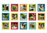 Photo Wall Clings