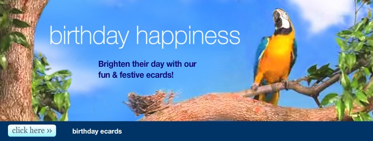 Birthday Happiness - Brighten their day with our fun and festive ecards!