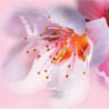 Daughter Mother's Day eCards from Blue Mountain