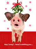 Funny Christmas Pig 5x7 Folded Card