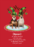Funny Christmas Elf Dogs 5x7 Folded Card