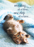Kitten One Step 5x7 Folded Card