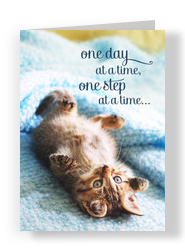 Kitten One Step 5x7 Folded Card