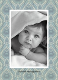 Gray Feather Portrait 5x7 Folded Card