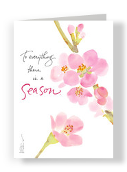 Pink Blossoms 5x7 Folded Card