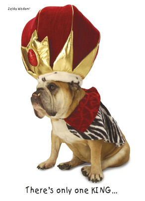 <div class="caption"><a href=http://www.cardstore.com/product/monarch-bulldog-3295556target="_blank">There's only one KING... <br>... and you're it! Happy Father's Day.</a><br></div>