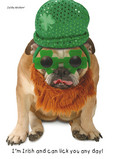 Irish Bulldog 5x7 Folded Card