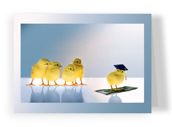 Chick Cap Money 7x5 Folded Card