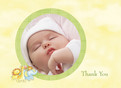 Noahs Ark Photo 5.25x3.75 Folded Card