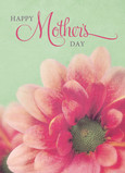 Pink Flower for Mom 5x7 Folded Card