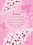 Jasmine Flower Baby 5x7 Flat Card