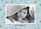 Blue Jack Postcard 7x5 Postcard