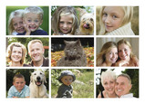 Nine Collage Postcard 7x5 Postcard