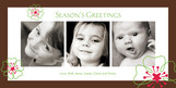 Flower Brown Border 8x4 Flat Card