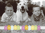 Happy Easter Eggs 7x5 Folded Card