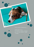 Small World Dog 5x7 Folded Card