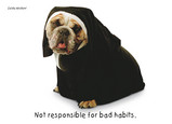 Nun Bulldog 7x5 Folded Card