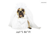 Bridal Dress Bulldog 7x5 Folded Card