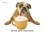 Bulldog Latte 7x5 Folded Card