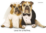 Married Bulldogs 7x5 Folded Card