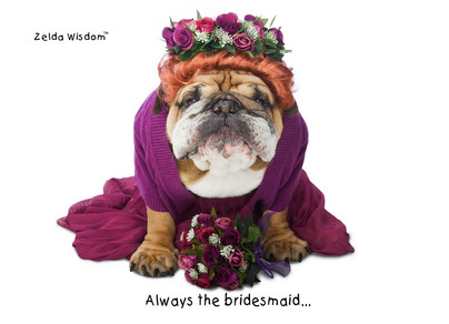 <div class="caption"><a href=http://www.cardstore.com/product/purple-bridesmaid-dog-3303116target="_blank">Always the bridesmaid... <br> ...never the bride. Bragging, not complaining.</a><br></div>