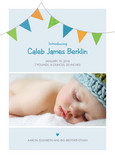 Blue Flags Birth 5x7 Flat Card