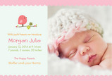 Pink Baby Bird 7x5 Flat Card