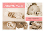 Double Pink Five Photo 7x5 Flat Card
