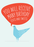 Birthday Texts and Tweets 5x7 Folded Card
