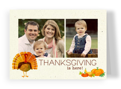 Thanksgiving Turkey 7x5 Folded Card