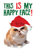 Happy Christmas Face 5x7 Folded Card