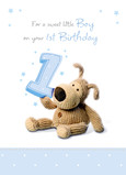 First Birthday Boy 5x7 Folded Card