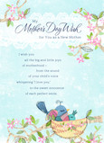 A New Mom in the Nest 5x7 Folded Card