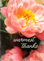 Photo Floral Thank You 3.75x5.25 Folded Card