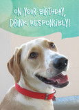 Drink Responsibly Photo Card 5x7 Folded Card
