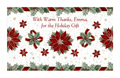 Wonderful Holiday Gift Greeting Card - Thanks for the Gift 